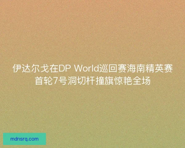 伊达尔戈在DP World巡回赛海南精英赛首轮7号洞切杆撞旗惊艳全场